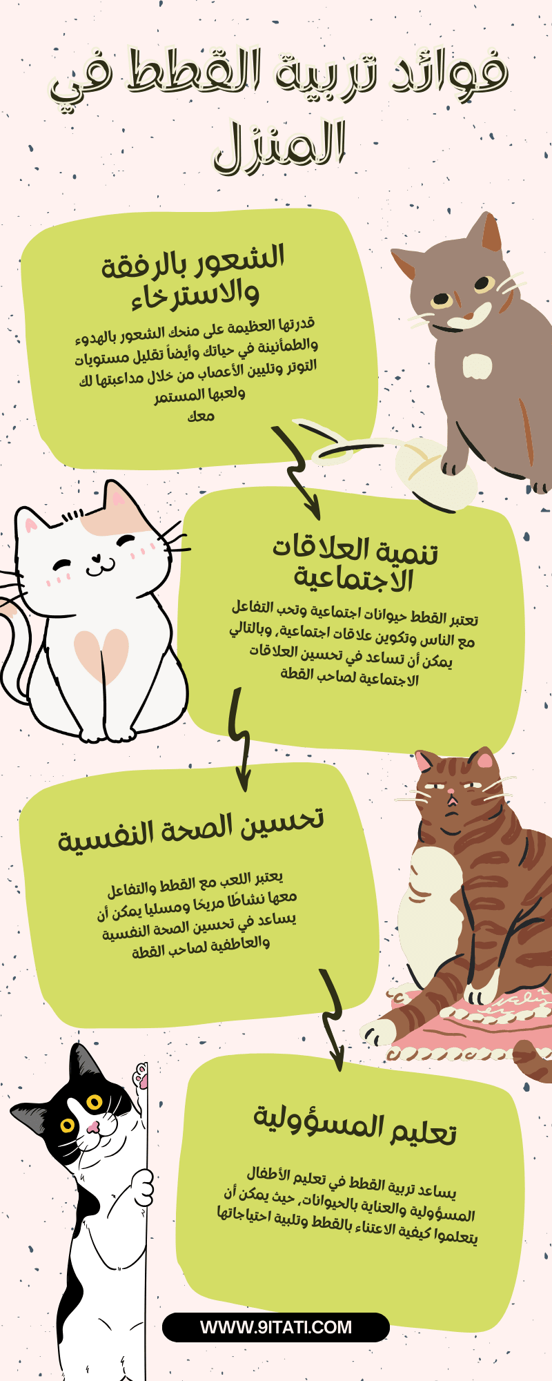 فوائد القطط في المنزل