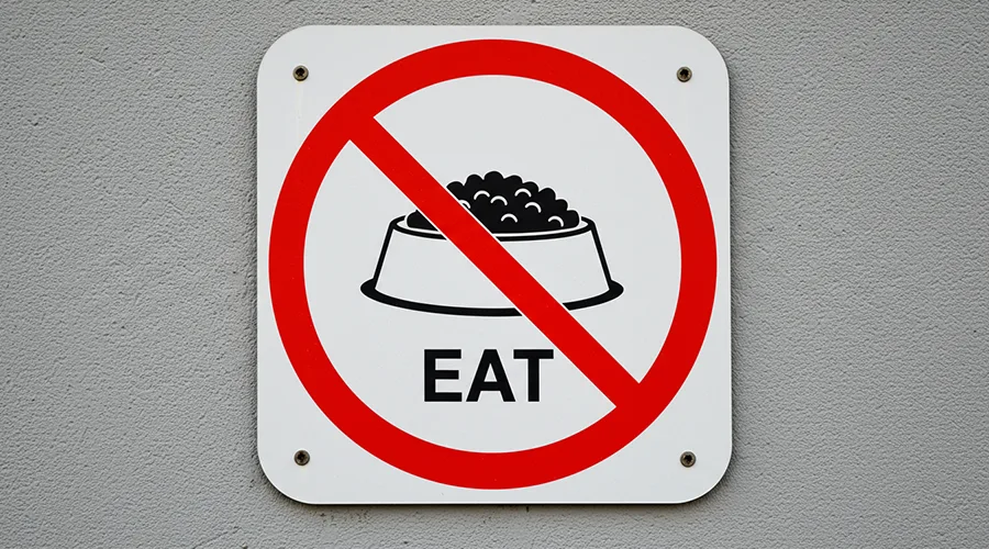 أنواع أطعمة لا يُنصح بها للقطط