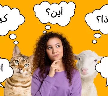 لماذا تختفي القطط في عيد الأضحى؟ أسباب قد تفاجئك