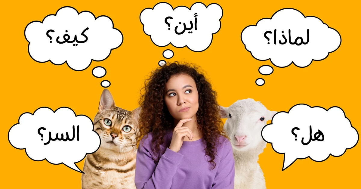 لماذا تختفي القطط في عيد الأضحى؟ أسباب قد تفاجئك