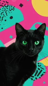 خلفيات قطط سوداء عالية الوضوح