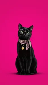 خلفيات قطط سوداء كول