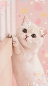 خلفيات قطط تلعب