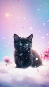خلفيات قطط سوداء فخمة