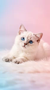 خلفيات قطط كريمي للآيفون