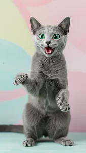 خلفيات قطط مرحة للتواصل الاجتماعي