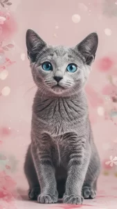 خلفيات كيوت للبنات على الواتساب والإنستغرام