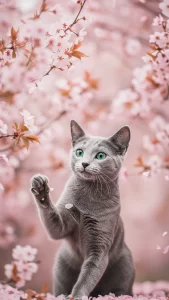 خلفيات كيوت للبنات على الواتساب والإنستغرام