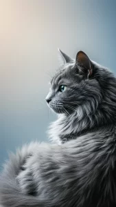 خلفيات قطط نيبيلونج للايفون