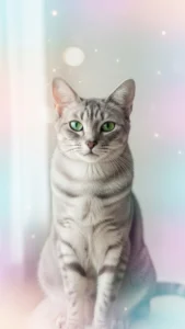 أفضل خلفيات قطط كيوت للبنات