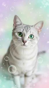  خلفيات قط كورات بيضاء ووردية