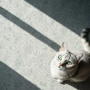 خلفيات قط كورات مربعة للنشر