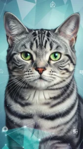 خلفيات أندرويد وجوال