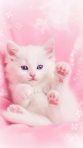 خلفيات قطط كيوت وردية